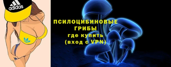 дурь Вязьма