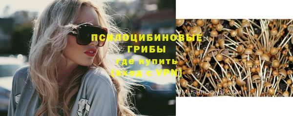бошки Горно-Алтайск
