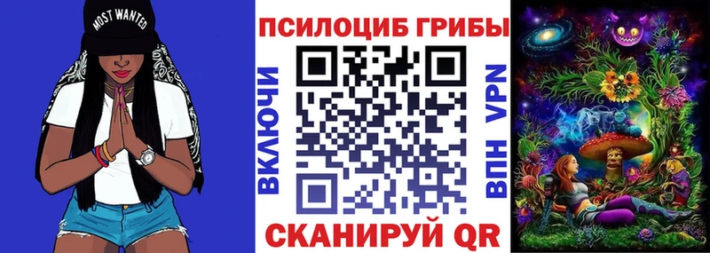 Купить  Нижняя Тура  Галлюциногенные грибы Cubensis 